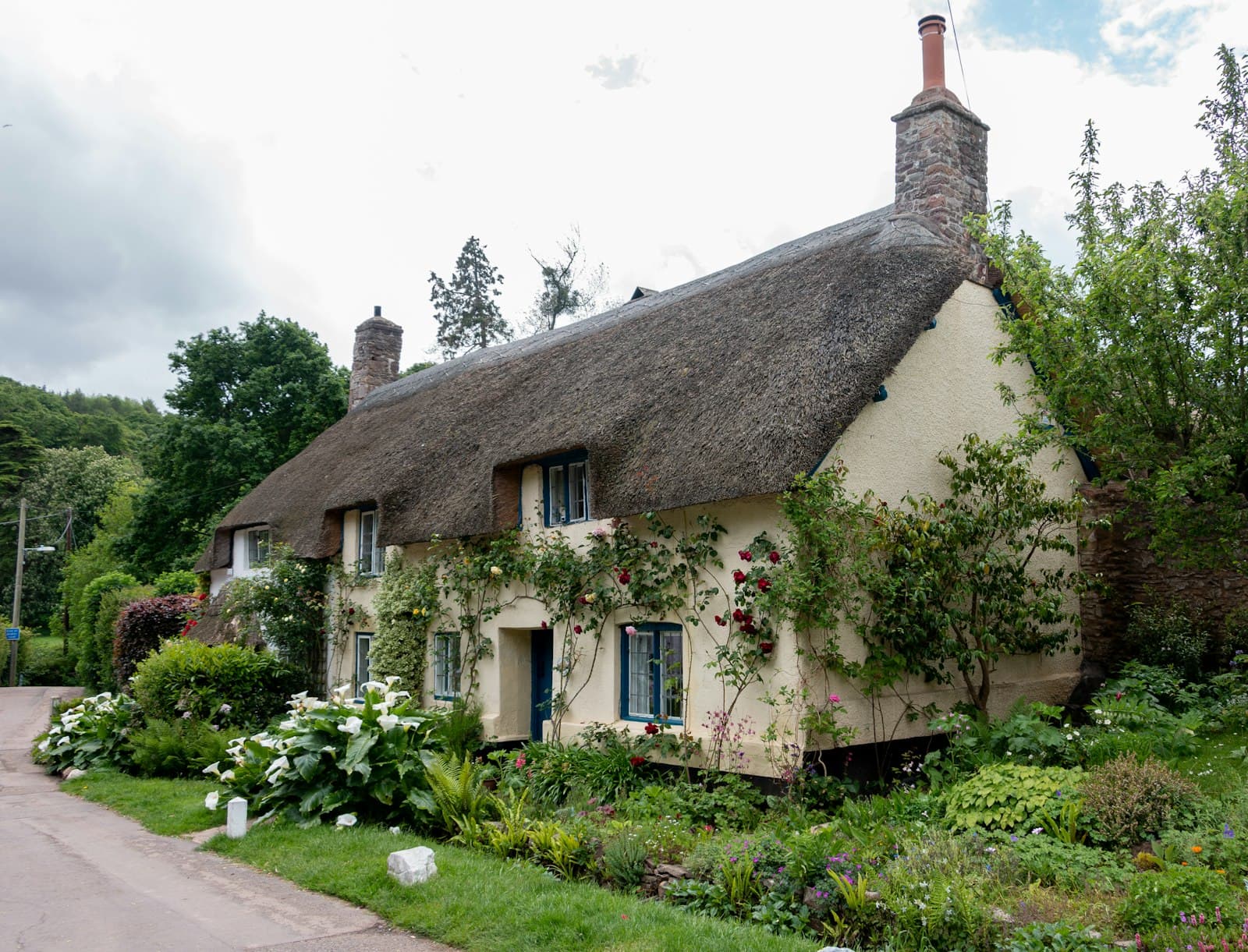 A thatched cottage surrounded by greenery
