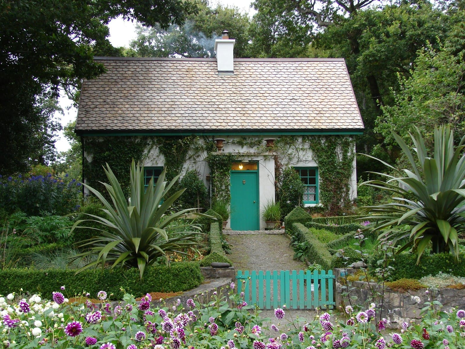 A single-storey holiday cottage surrounded by trees